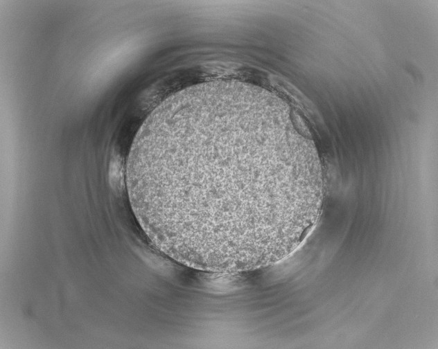 X0000115440191200912020952