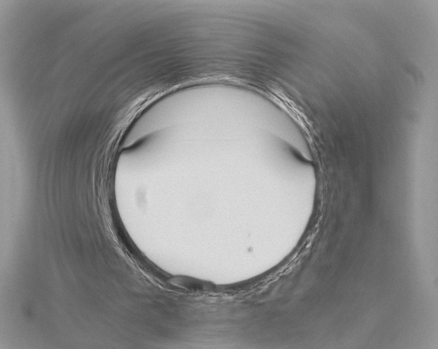 X0000115440193200912020952