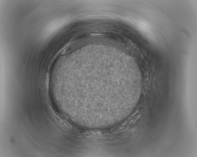 X0000115440194200912020952