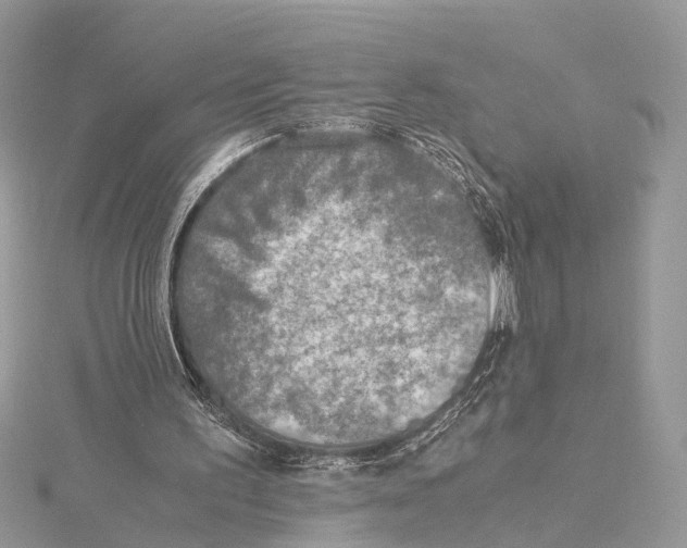 X0000115440195200912020952