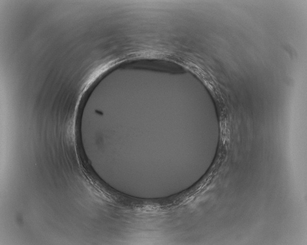 X0000115440196200912020952