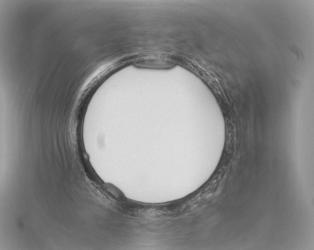 X0000115440197200912020952