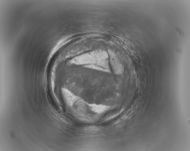 X0000115440198200912020952