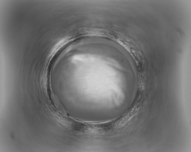 X0000115440199200912020952