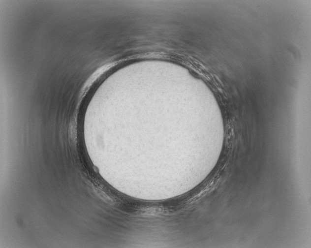 X0000115440200200912020952