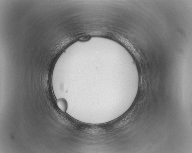 X0000115440201200912020952