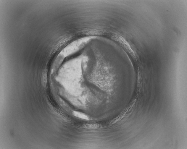 X0000115440202200912020952