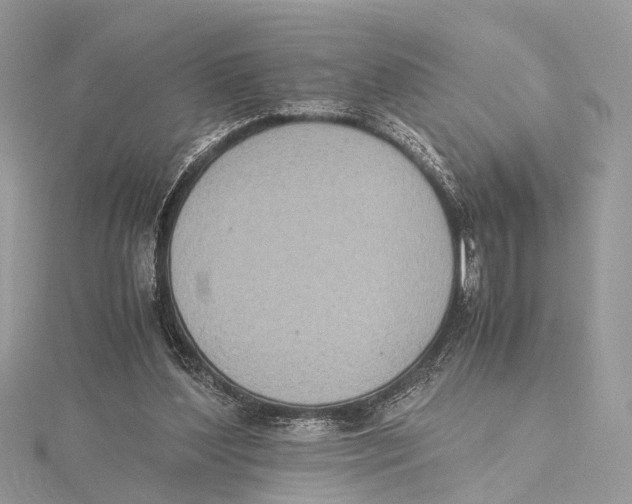 X0000115440204200912020952