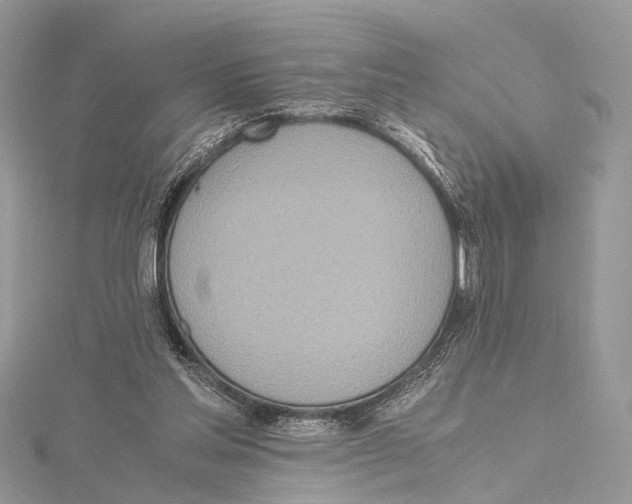 X0000115440205200912020952