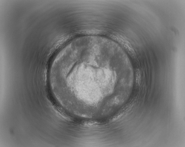 X0000115440206200912020952