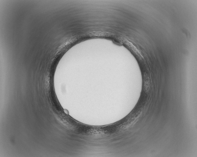 X0000115440207200912020952