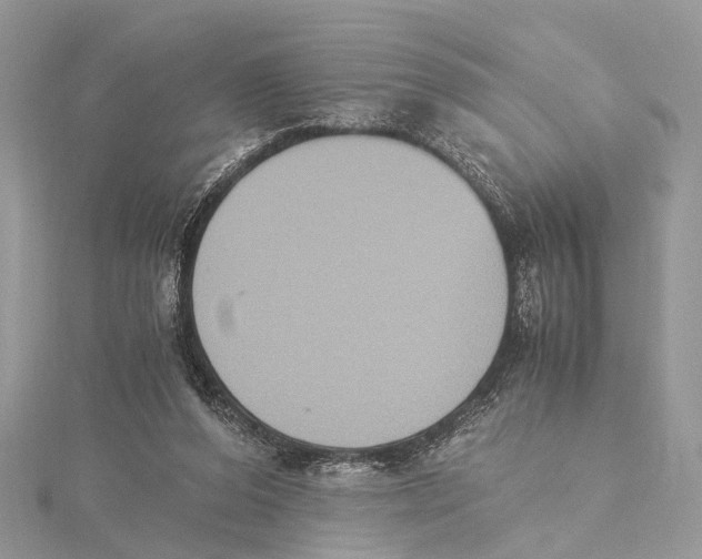 X0000115440208200912020952