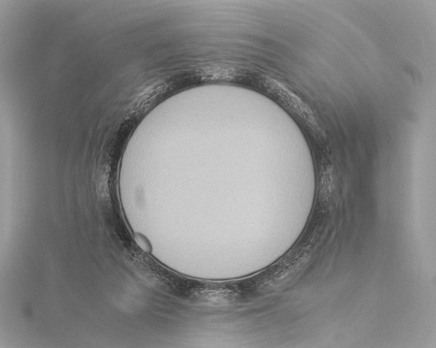 X0000115440209200912020952