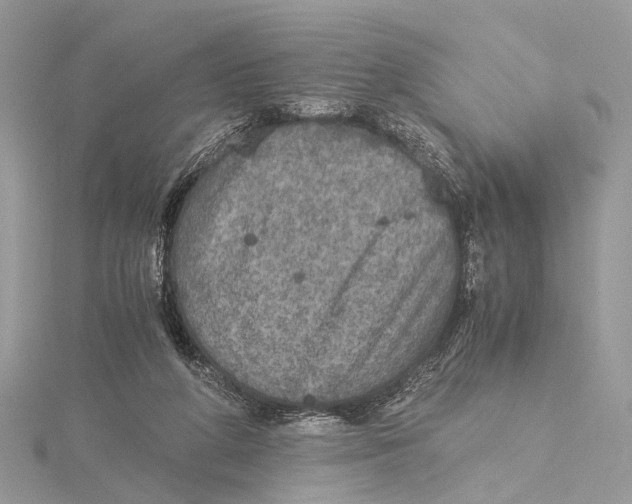 X0000115440210200912020952