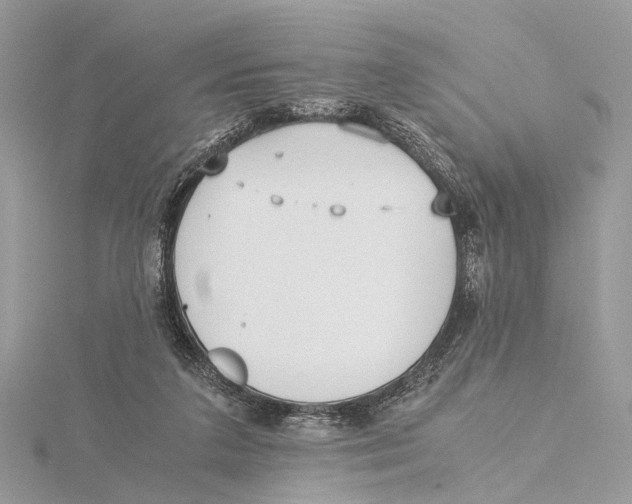 X0000115440211200912020952