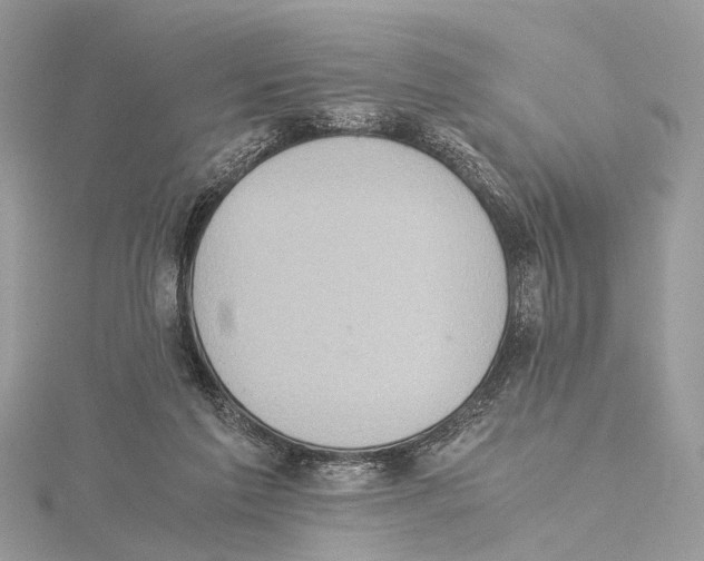 X0000115440213200912020952