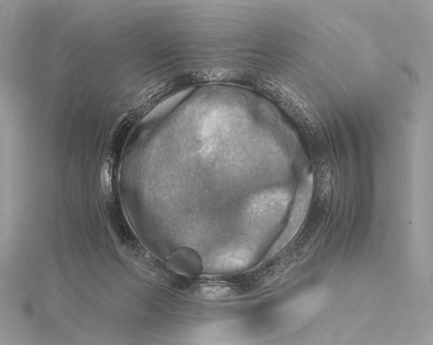 X0000115440214200912020952