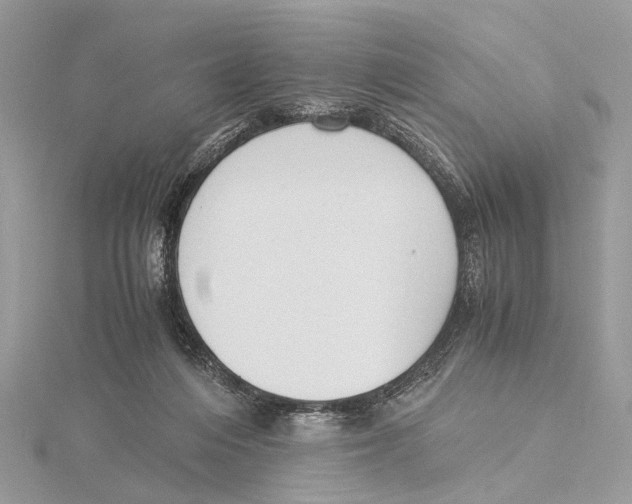 X0000115440216200912020952