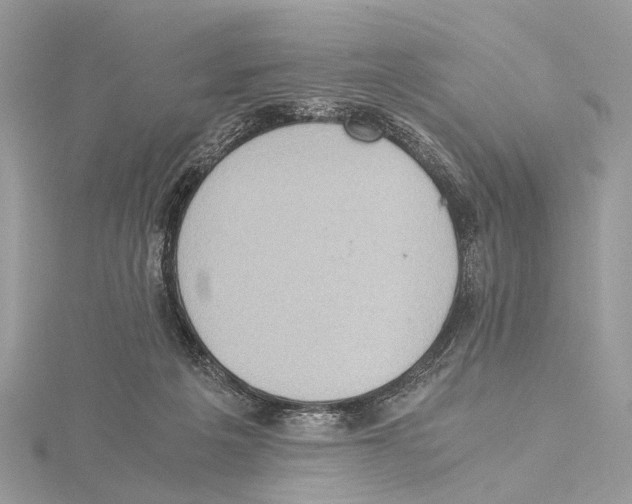 X0000115440217200912020952