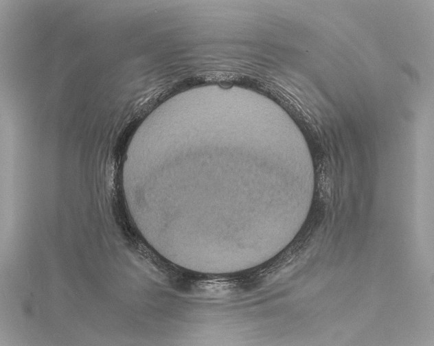 X0000115440219200912020951