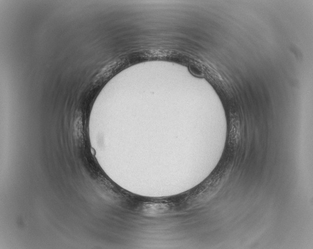 X0000115440220200912020951