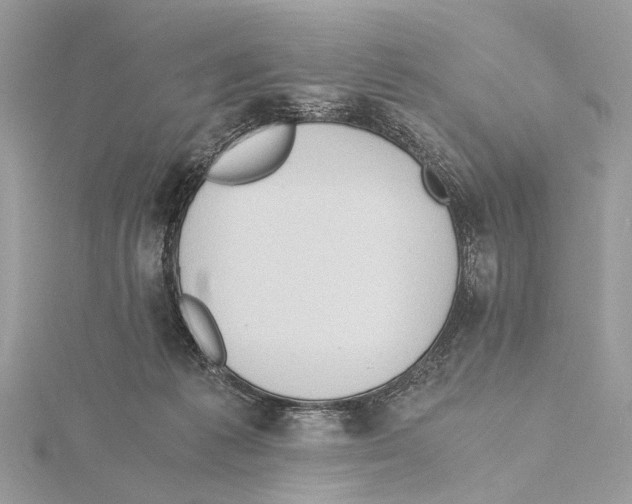 X0000115440221200912020951