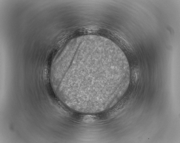 X0000115440222200912020951