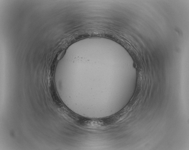 X0000115440223200912020951