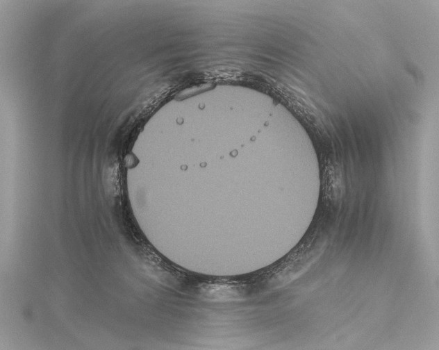 X0000115440224200912020951