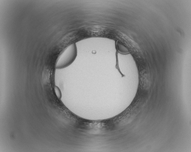 X0000115440225200912020951