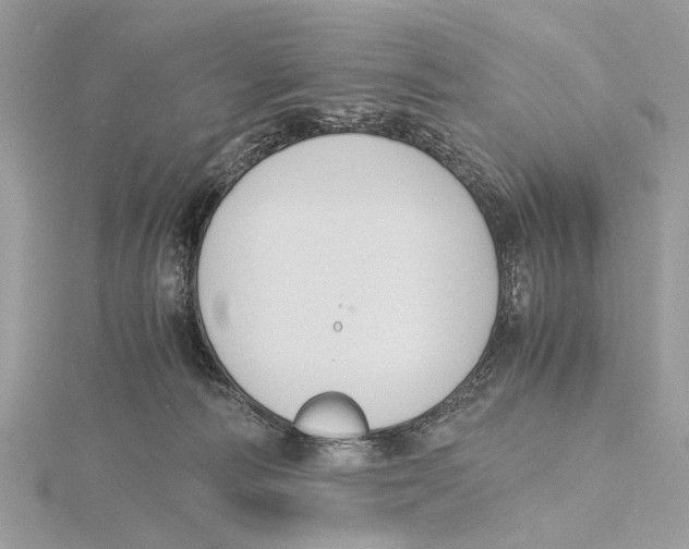 X0000115440226200912020951