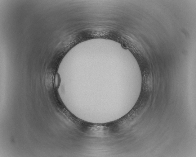 X0000115440227200912020951