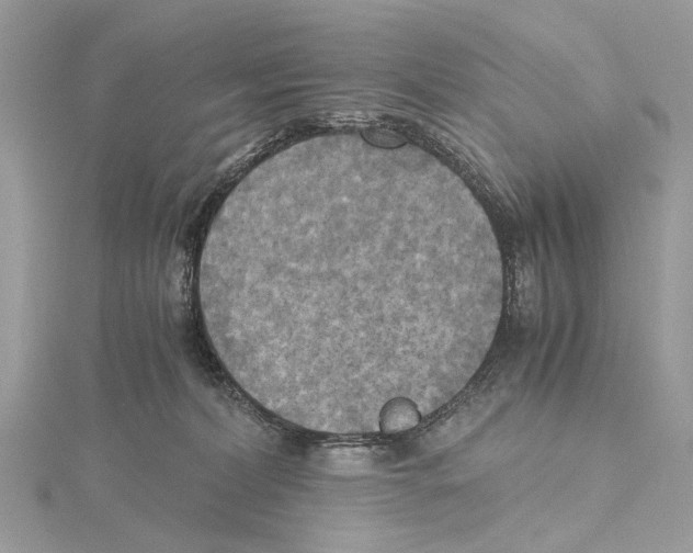 X0000115440228200912020951