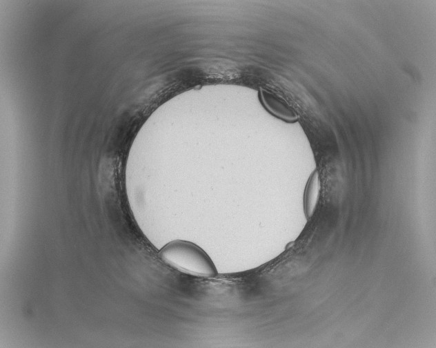 X0000115440229200912020951