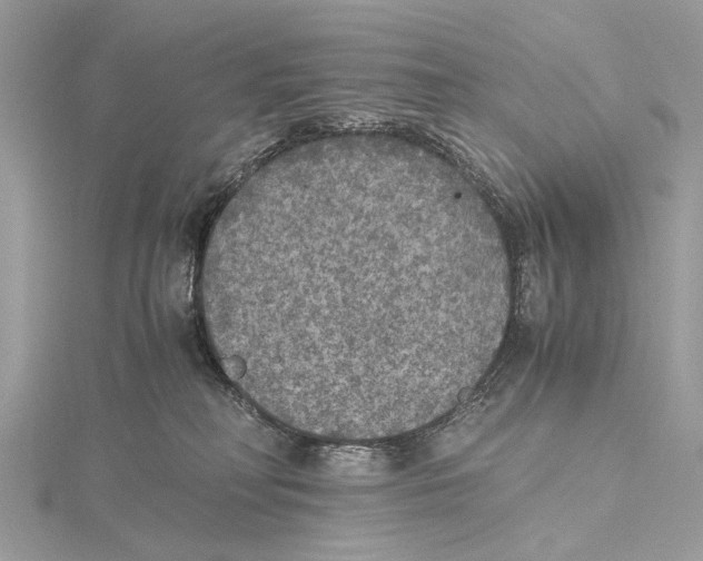 X0000115440230200912020951