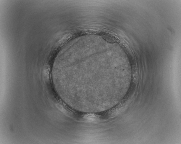 X0000115440231200912020951