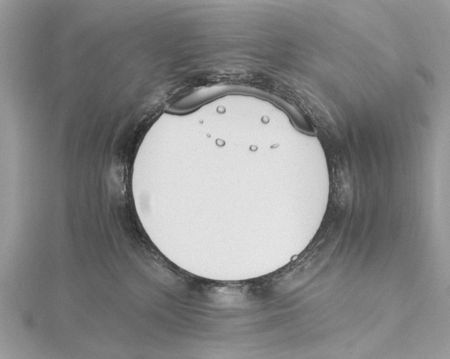 X0000115440232200912020951