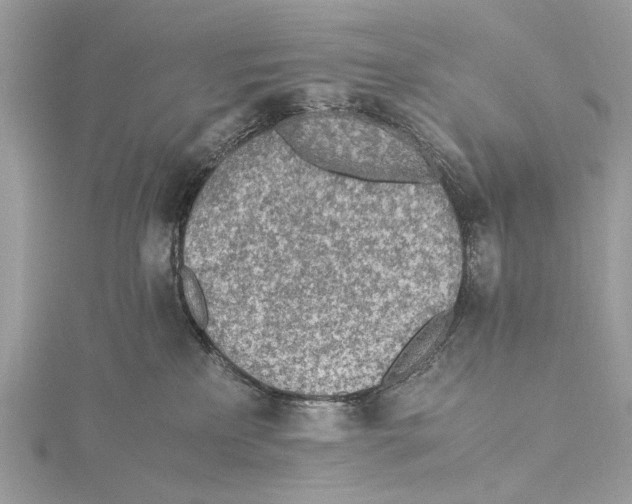 X0000115440233200912020951