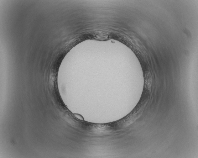 X0000115440235200912020951