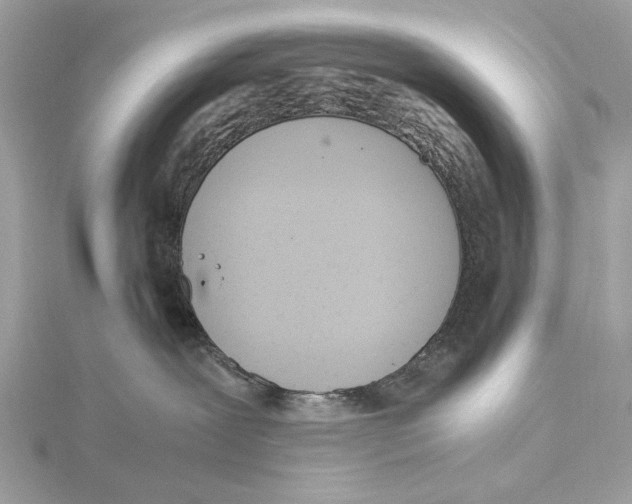 X0000115440239200912020951