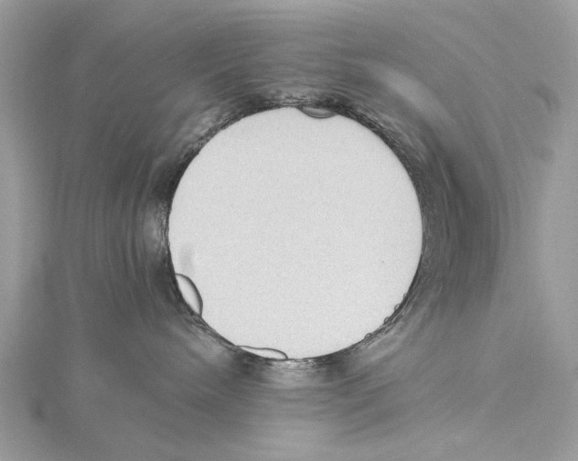 X0000115440240200912020951