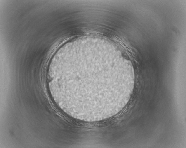 X0000115440241200912020951