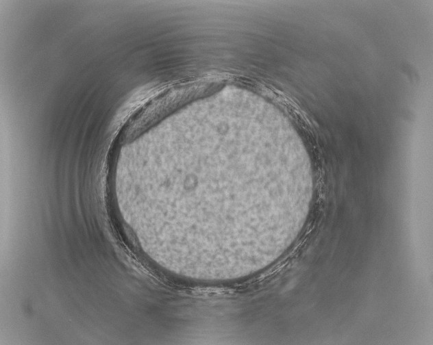 X0000115440242200912020951