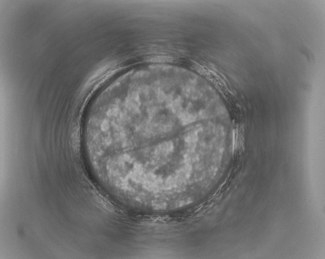 X0000115440243200912020951