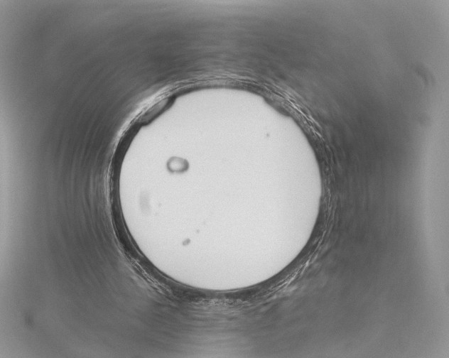 X0000115440244200912020951