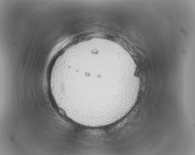 X0000115440245200912020951