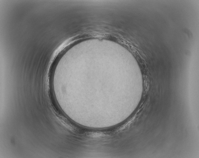 X0000115440246200912020951