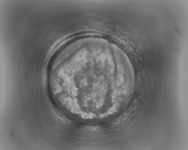 X0000115440247200912020951