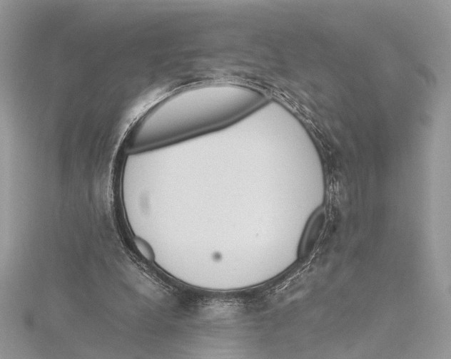 X0000115440248200912020951