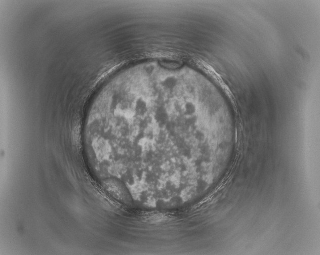 X0000115440249200912020951